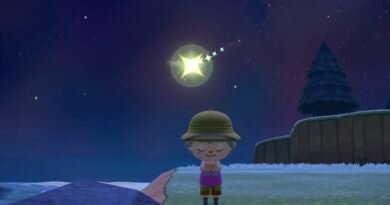 animal crossing wish upon a star