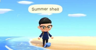 Animal Crossing New Horizons Summer Shell